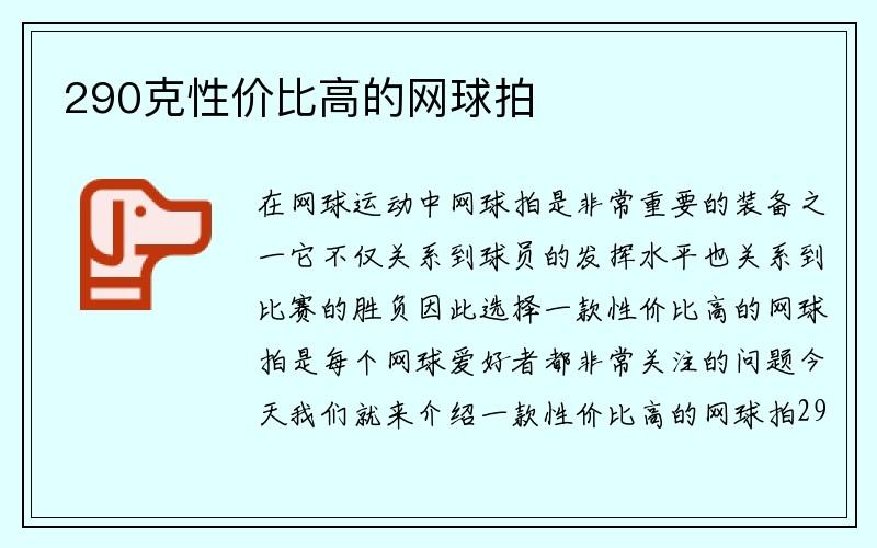 290克性价比高的网球拍