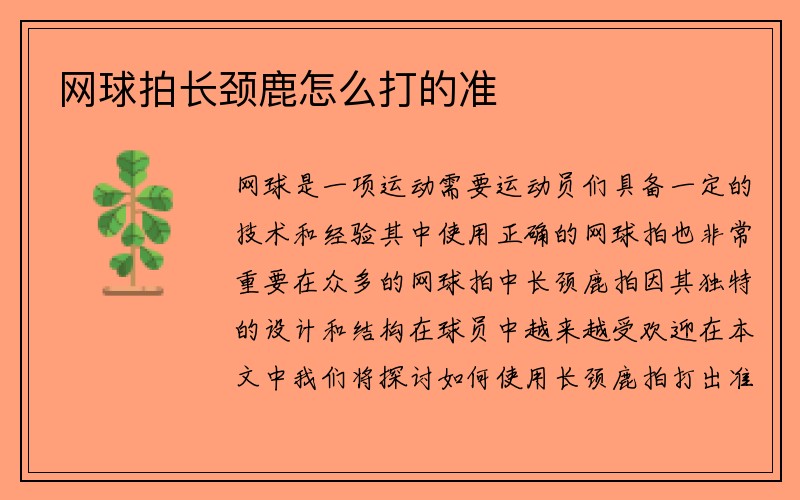 网球拍长颈鹿怎么打的准