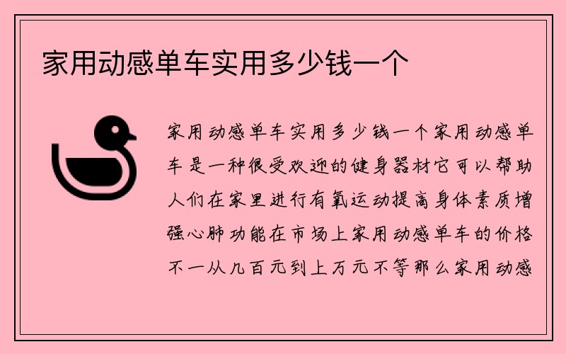 家用动感单车实用多少钱一个