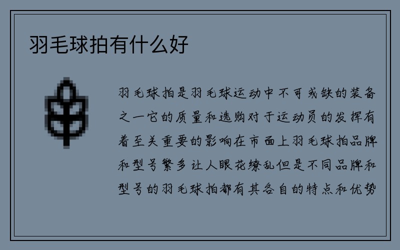 羽毛球拍有什么好