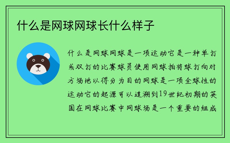 什么是网球网球长什么样子